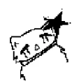 danoko